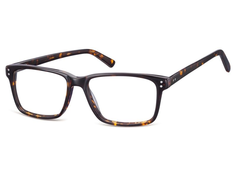 Berkeley Brillen A85A