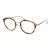 Taylor Morris Brillen SW 14 C3