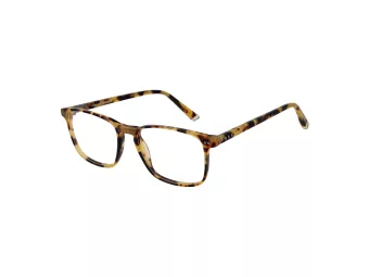 Taylor Morris Brillen SW 16 C3