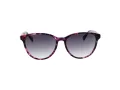 Ted Baker Zonnebril TB 1763 702