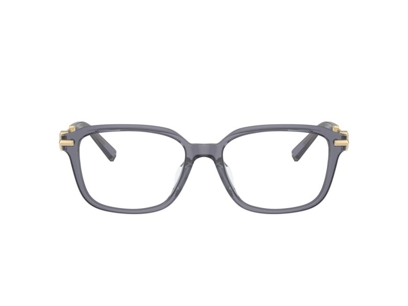Tiffany Brillen TF 2253D 8405