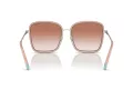 Tiffany Zonnebril TF 3087D 602113