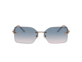 Tiffany Zonnebril TF 3088 610516