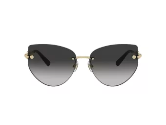 Tiffany Zonnebril TF 3096 60213C