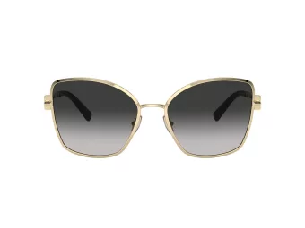 Tiffany Zonnebril TF 3102B 60213C