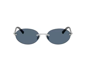 Tiffany Zonnebril TF 3104D 600180