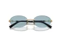 Tiffany Zonnebril TF 3104D 602180