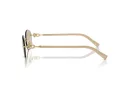 Tiffany Zonnebril TF 3104D 617811