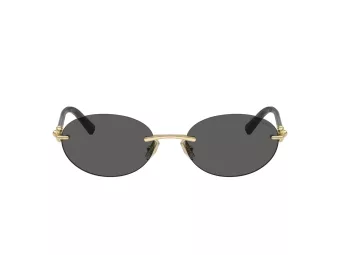 Tiffany Zonnebril TF 3104D 6216S4