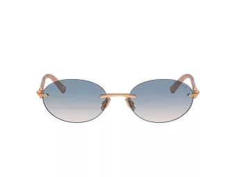Tiffany Zonnebril TF 3104D 621716