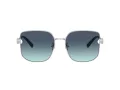 Tiffany Zonnebril TF 3105D 60019S