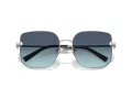 Tiffany Zonnebril TF 3105D 60019S