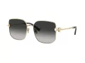 Tiffany Zonnebril TF 3105D 6021S4