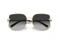 Tiffany Zonnebril TF 3105D 6021S4