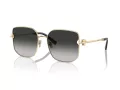 Tiffany Zonnebril TF 3105D 6021S4