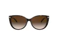 Tiffany Zonnebril TF 4178 80153B