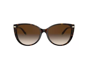 Tiffany Zonnebril TF 4178 80153B