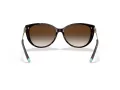 Tiffany Zonnebril TF 4178 80153B