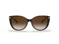 Tiffany Zonnebril TF 4178 80153B
