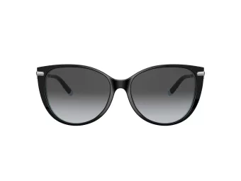 Tiffany Zonnebril TF 4178 8055T3