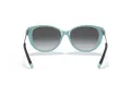 Tiffany Zonnebril TF 4178 8055T3