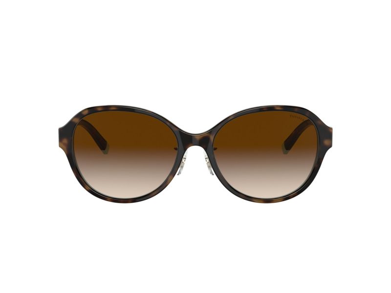 Tiffany Zonnebril TF 4181D 81343B