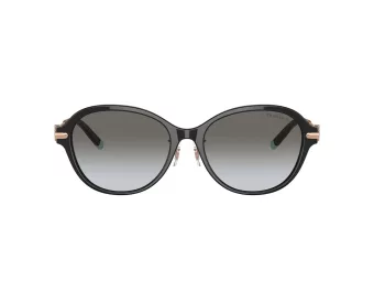 Tiffany Zonnebril TF 4188D 80013C