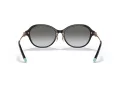 Tiffany Zonnebril TF 4188D 80013C
