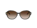 Tiffany Zonnebril TF 4188D 81343B