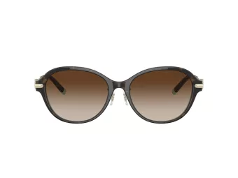 Tiffany Zonnebril TF 4188D 81343B