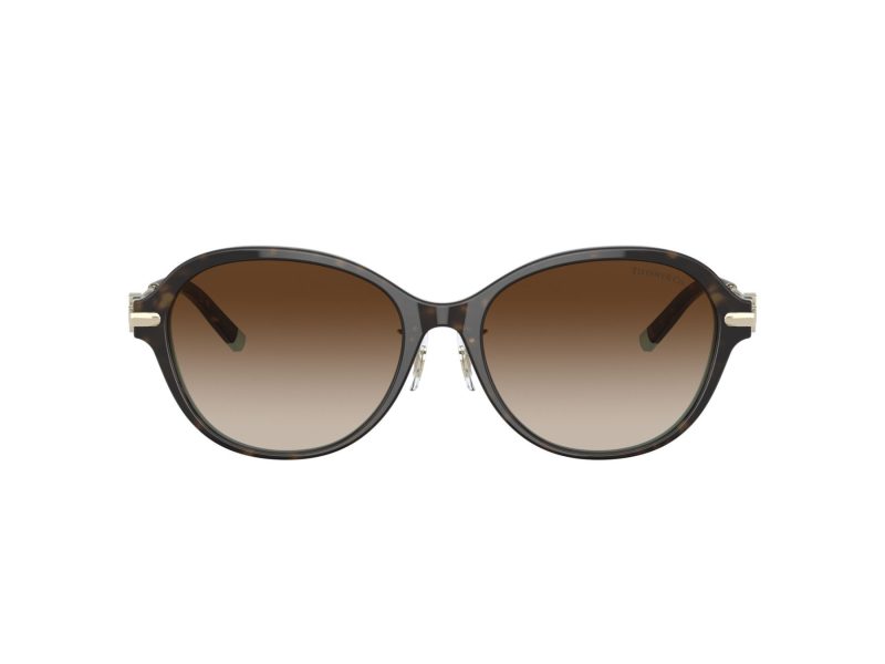 Tiffany Zonnebril TF 4188D 81343B