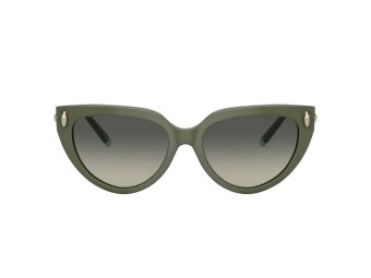 Tiffany Zonnebril TF 4195 835811