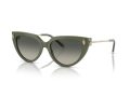 Tiffany Zonnebril TF 4195 835811