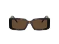 Tiffany Zonnebril TF 4197 80153G