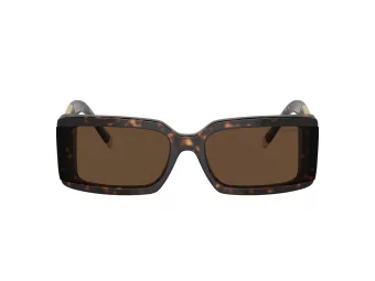 Tiffany Zonnebril TF 4197 80153G