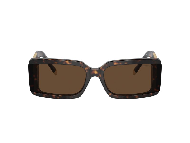 Tiffany Zonnebril TF 4197 80153G