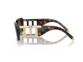 Tiffany Zonnebril TF 4197 80153G