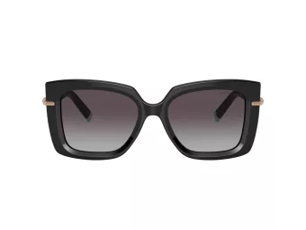 Tiffany Zonnebril TF 4199 80013C