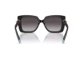 Tiffany Zonnebril TF 4199 80013C