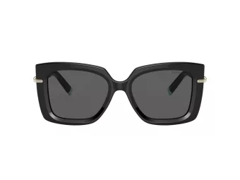 Tiffany Zonnebril TF 4199 8001S4