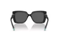 Tiffany Zonnebril TF 4199 8001S4