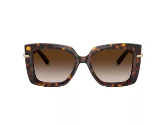 Tiffany Zonnebril TF 4199 80153B