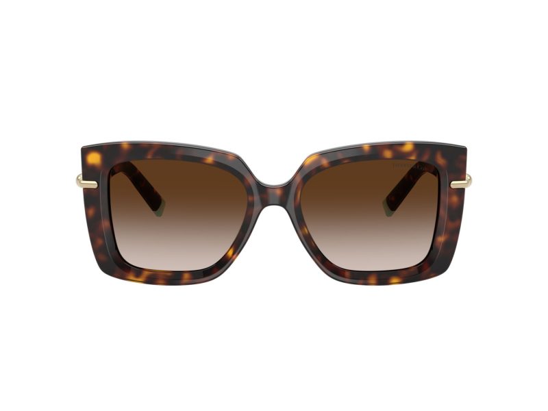 Tiffany Zonnebril TF 4199 80153B