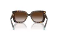 Tiffany Zonnebril TF 4199 80153B