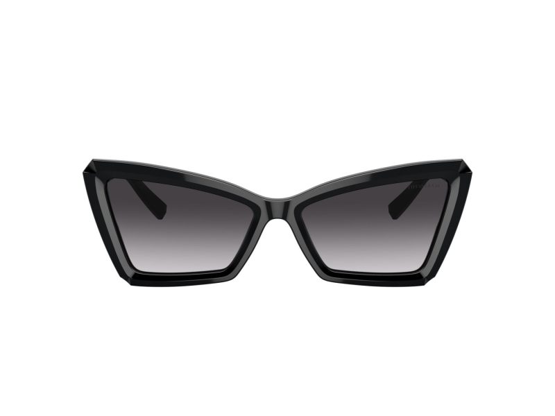 Tiffany Zonnebril TF 4203 80013C