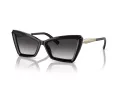 Tiffany Zonnebril TF 4203 80013C