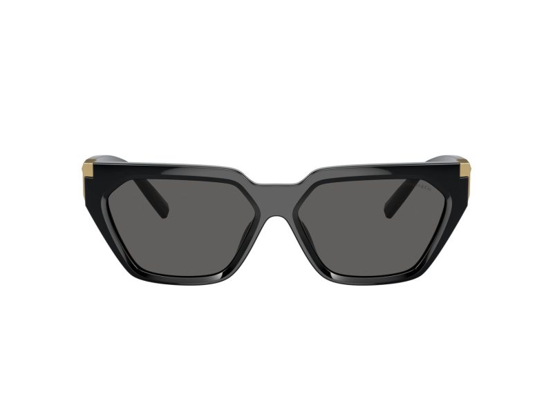 Tiffany Zonnebril TF 4205U 8001S4