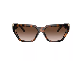 Tiffany Zonnebril TF 4205U 80153B