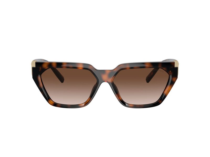 Tiffany Zonnebril TF 4205U 80153B