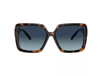 Tiffany Zonnebril TF 4206U 80154U